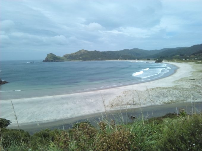 グレートバリア島 medlands beach