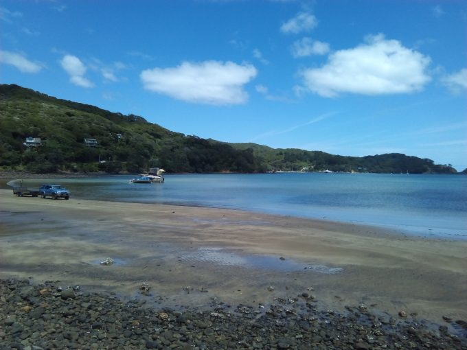 グレートバリア島Allom Bay