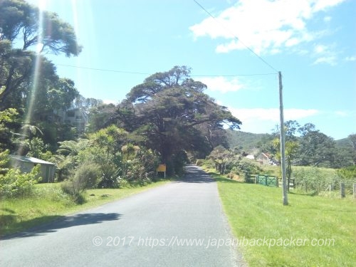 グレートバリア島Medland Road