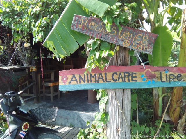 ANIMAL CAFE