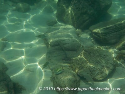 サメット島のシュノーケリング