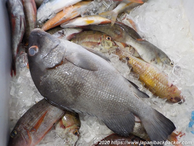 ミクロネシアの魚屋