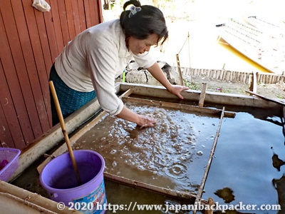 インレー湖 紙漉き