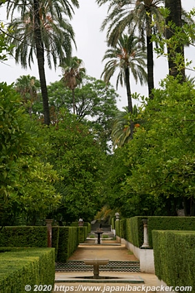 セビーリャ アルカサル 庭園
