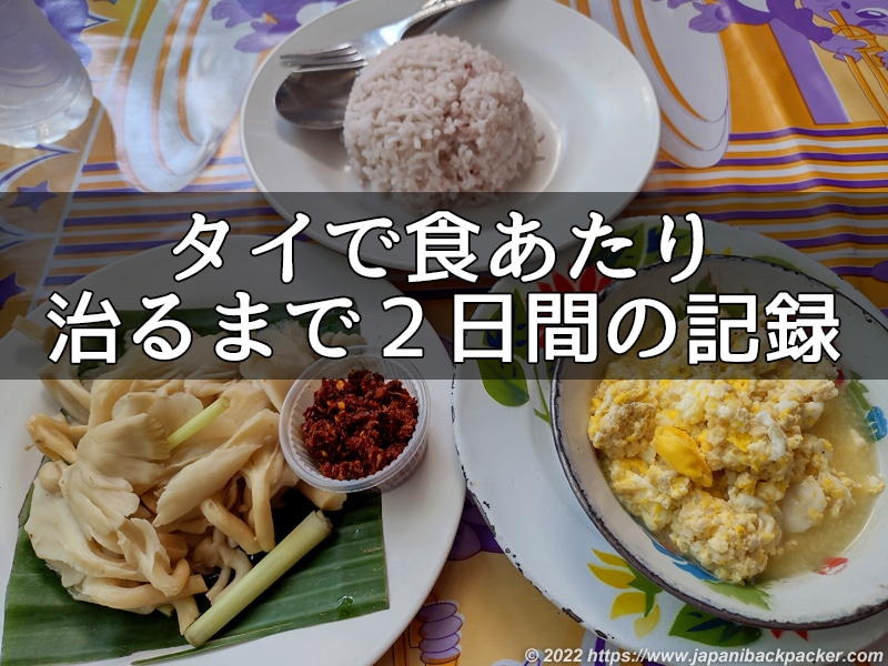 タイで食あたり治るまで2日間の記録 タイトル画像