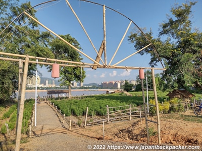 チェンセーン　農園