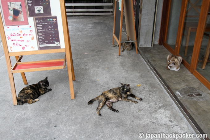 タラートノイ ブラックスミス カフェ