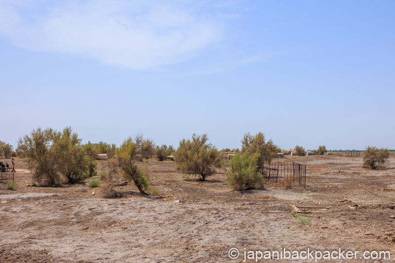 クニャ・ウルゲンチ