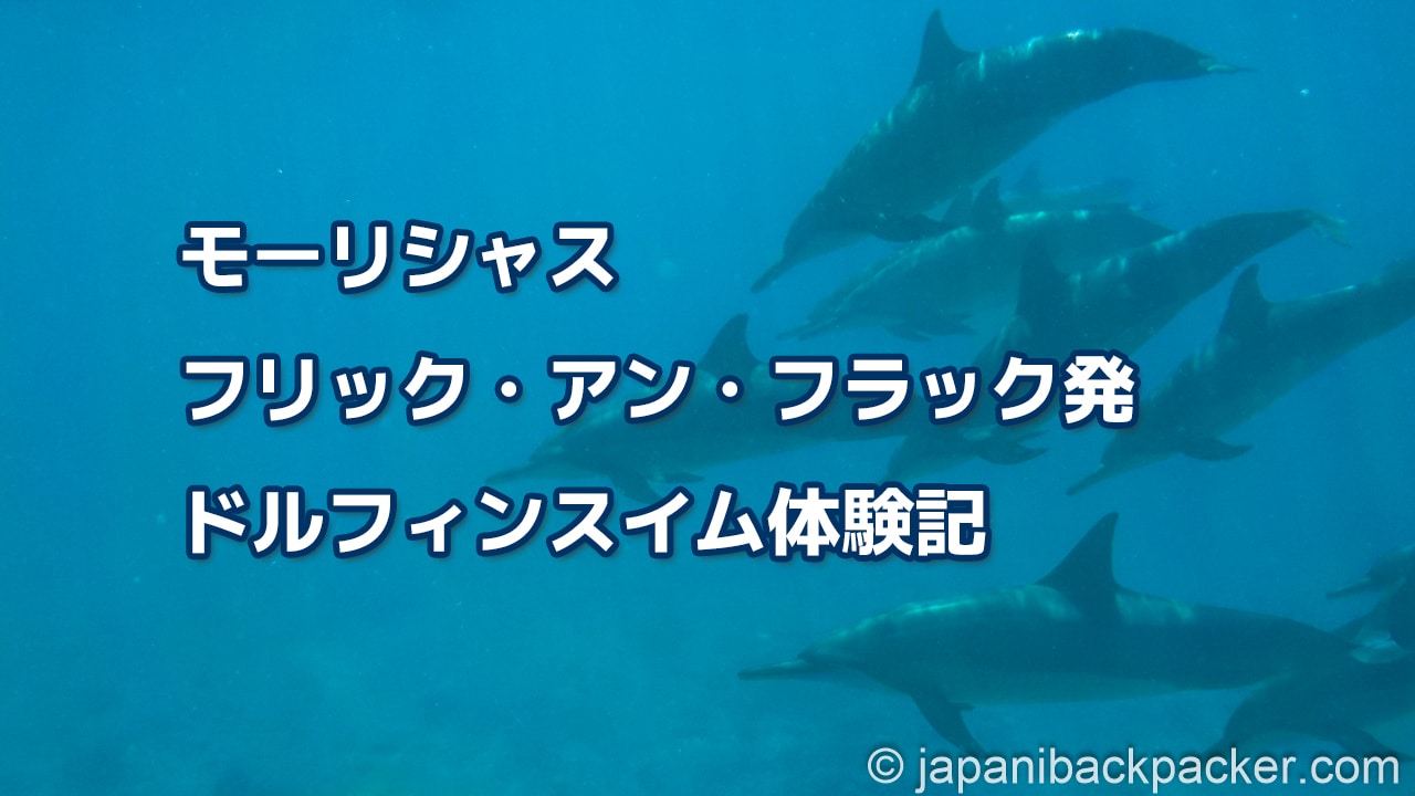 モーリシャス フリック・アン・フラック発ドルフィンスイム体験記タイトル画像