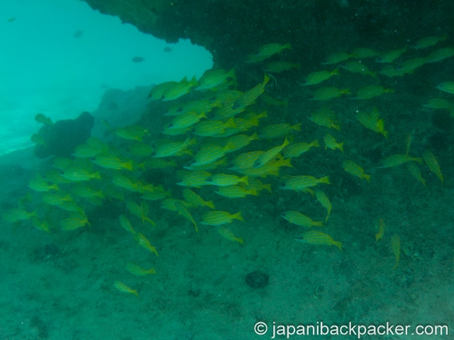 モーリシャスのクリスタルロック