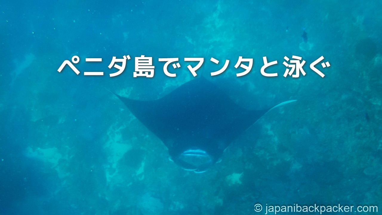 ペニダ島でマンタと泳ぐtitle image