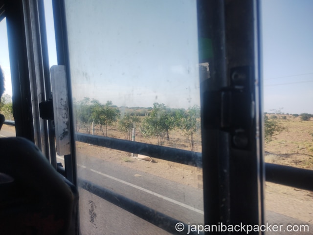 インド、ラジャスタンの荒野